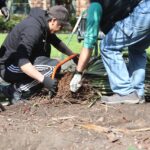 Friends of Parsonage Garden - Nov 2024 曼城11月公園綠化活動