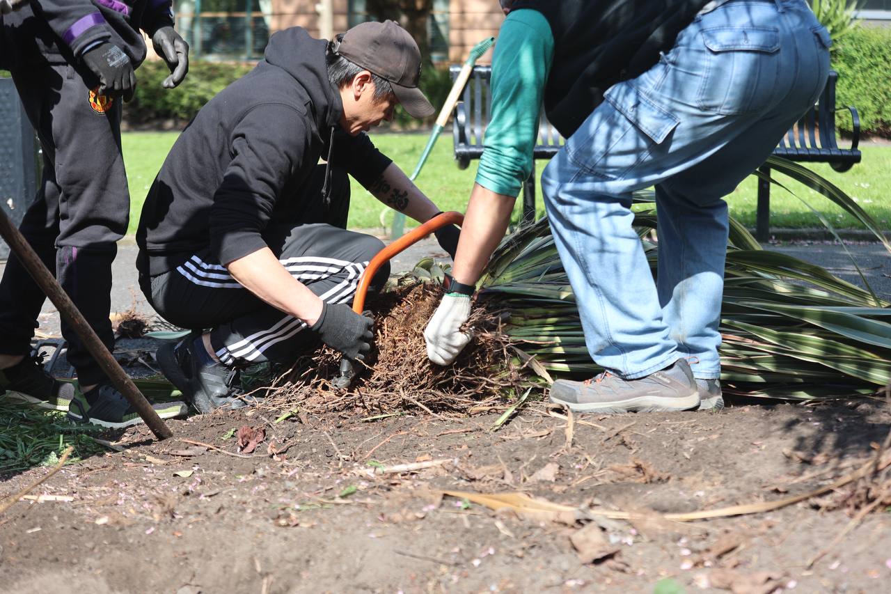 Friends of Parsonage Garden - Nov 2024 曼城11月公園綠化活動