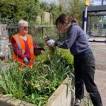 Eccles Litterpicking and Greening - Sept 2024 Eccles 9月綠化及清潔活動