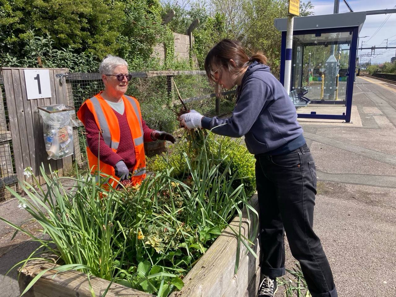 Eccles Litterpicking and Greening - Sept 2024 Eccles 9月綠化及清潔活動