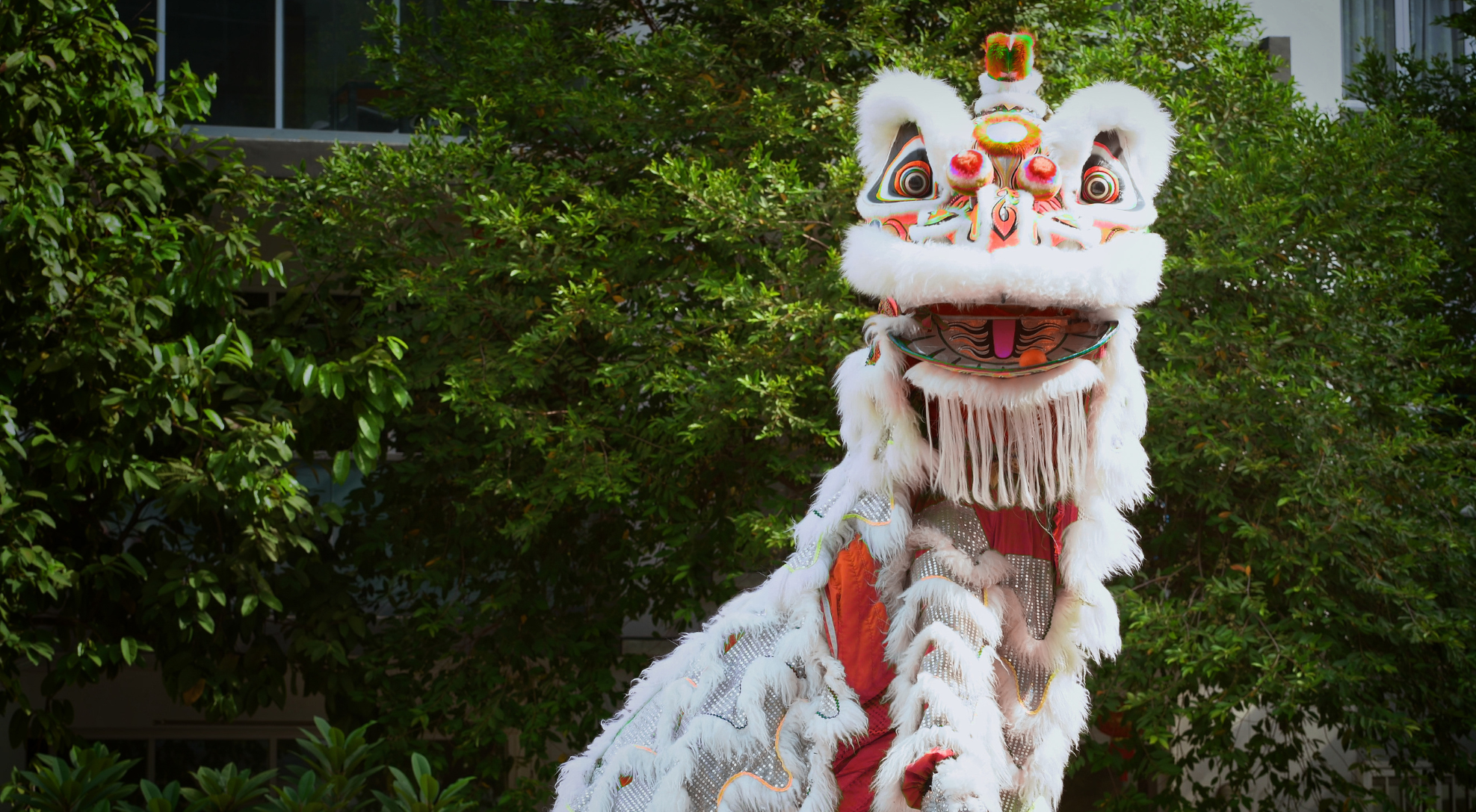 Liverpool Lion Dance Class 利物浦舞獅課程